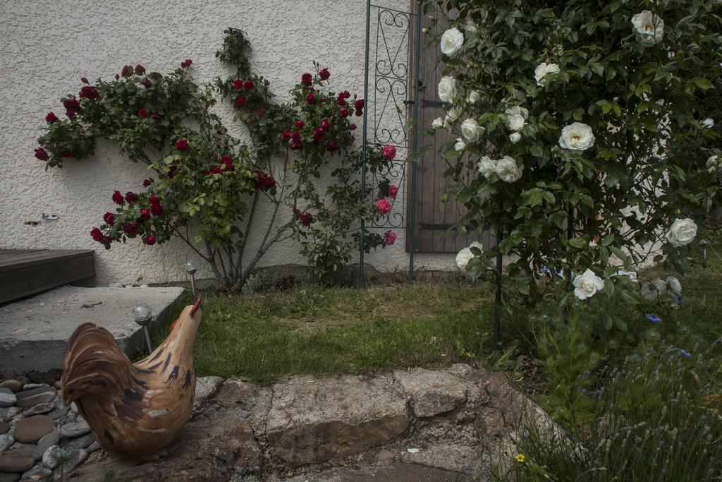 Chambre D'Hotes La Bichette Chassagny Exterior foto